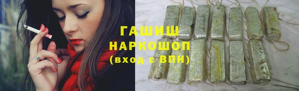 хмурый Аркадак