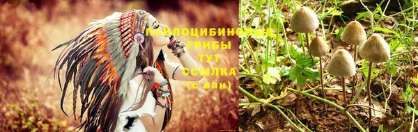 тгк Беломорск