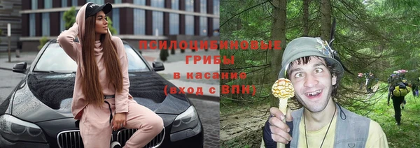 винт Арсеньев