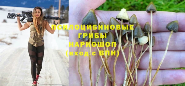 прущие крисы Белоозёрский