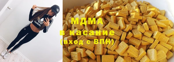 хмурый Аркадак