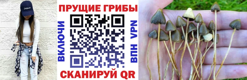 Купить закладки  Трёхгорный  Псилоцибиновые грибы ЛСД 